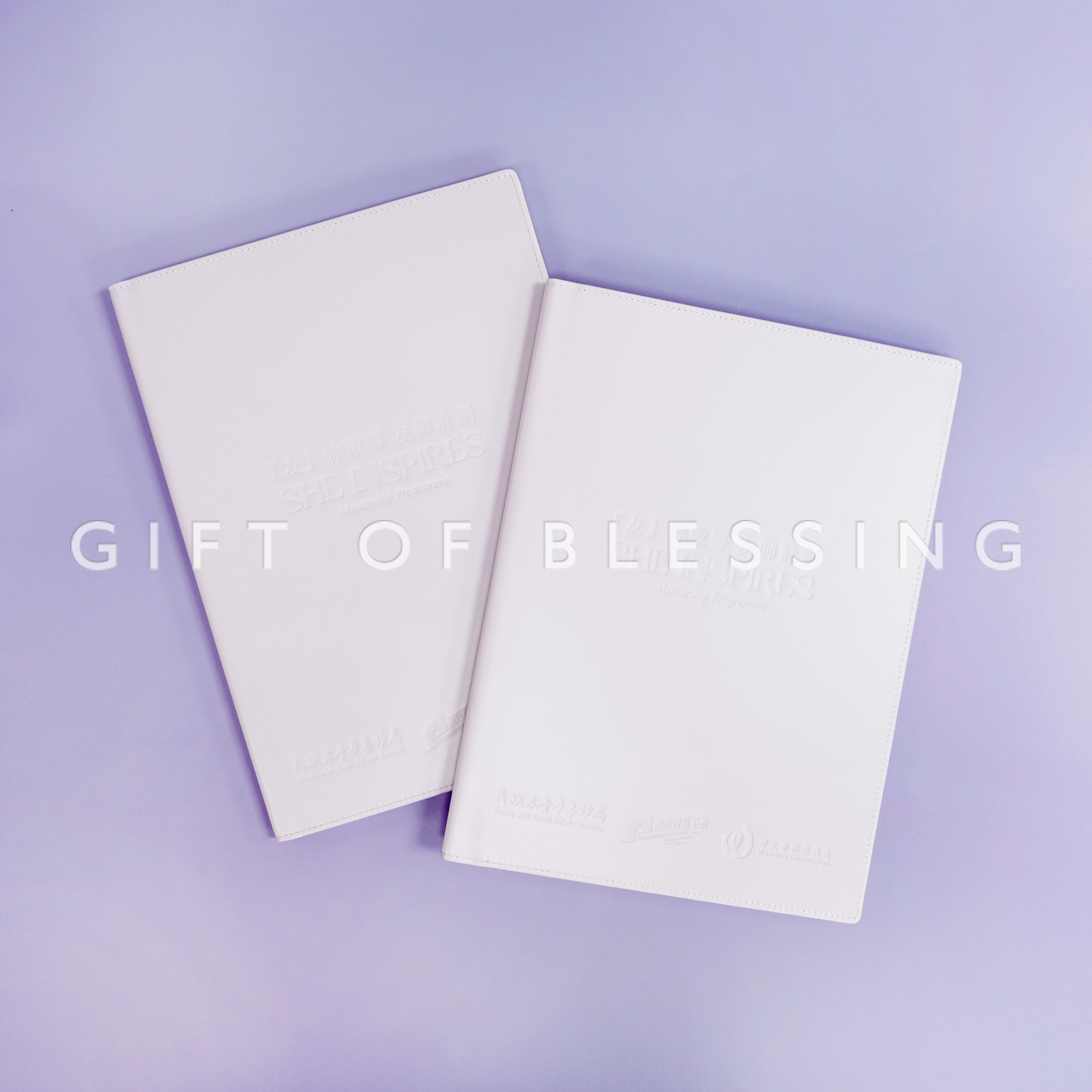 HYAB 民政及青年事務局