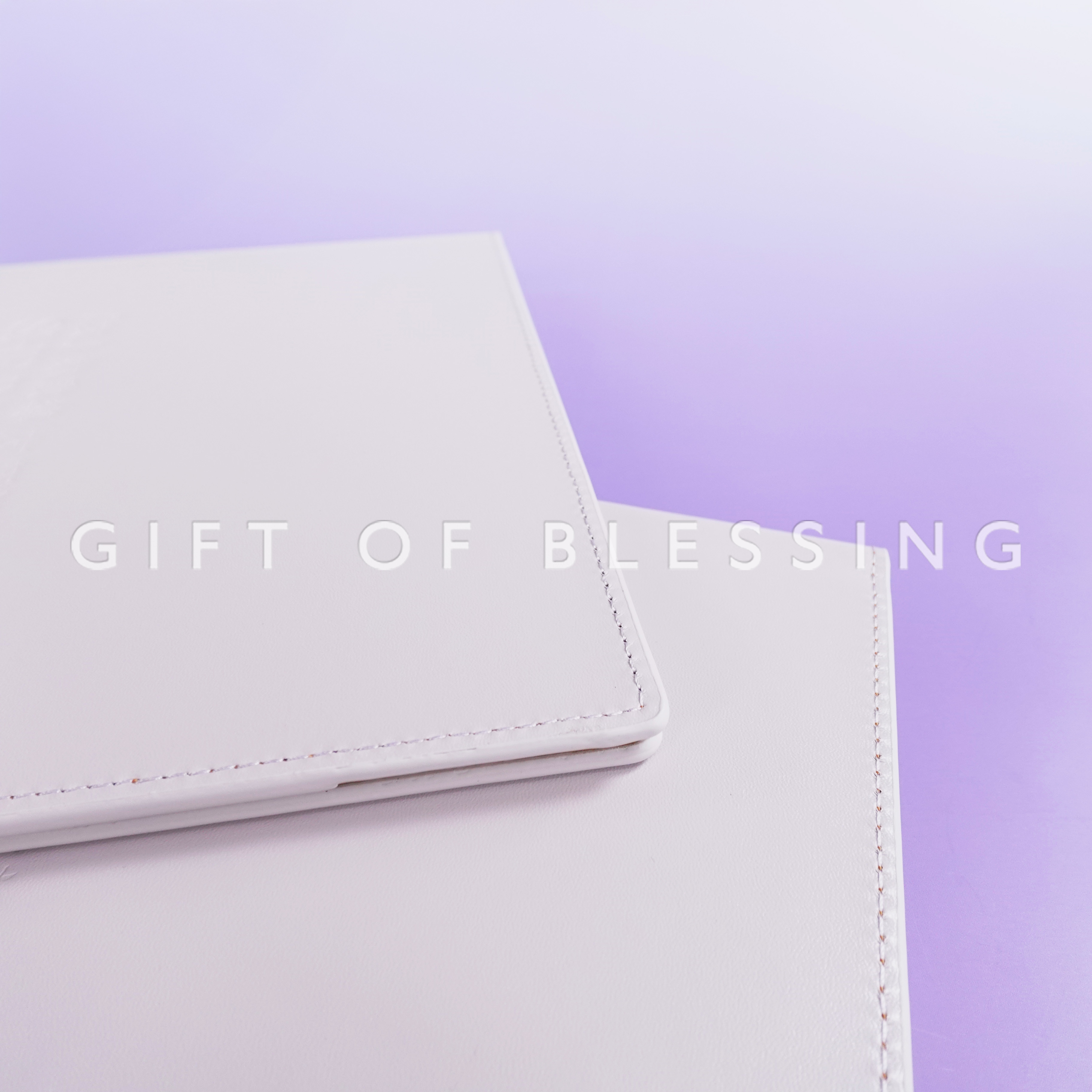 HYAB 民政及青年事務局