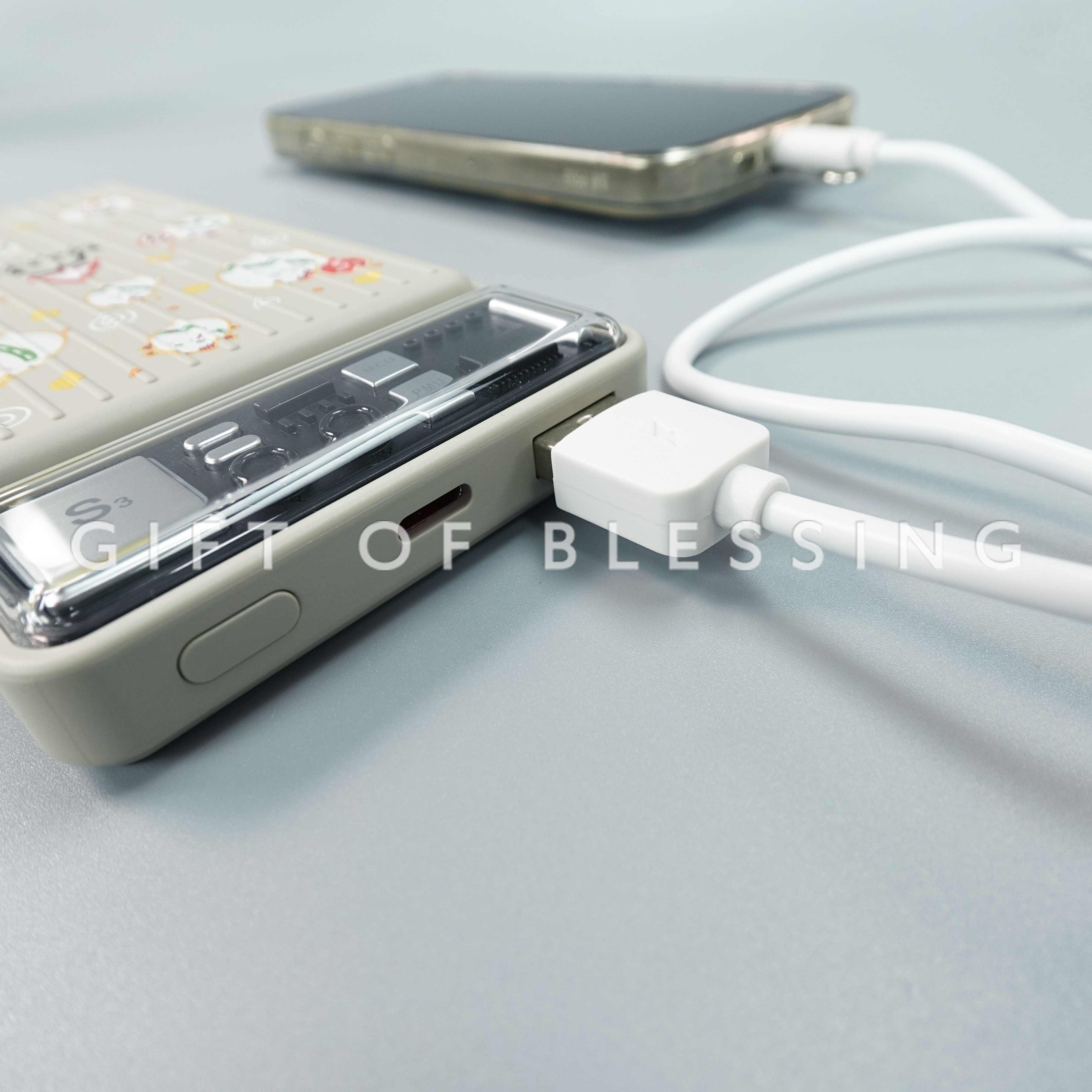 道路安全議會 RSC