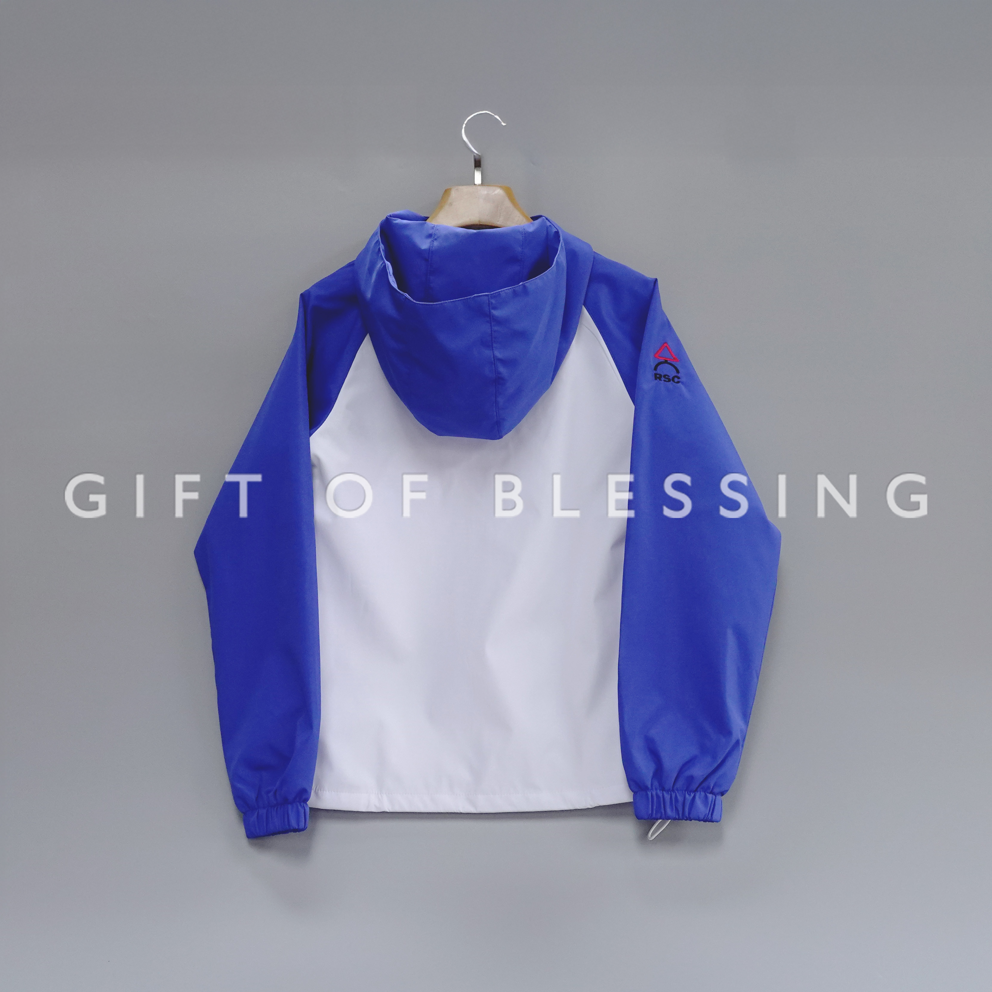 道路安全議會 RSC