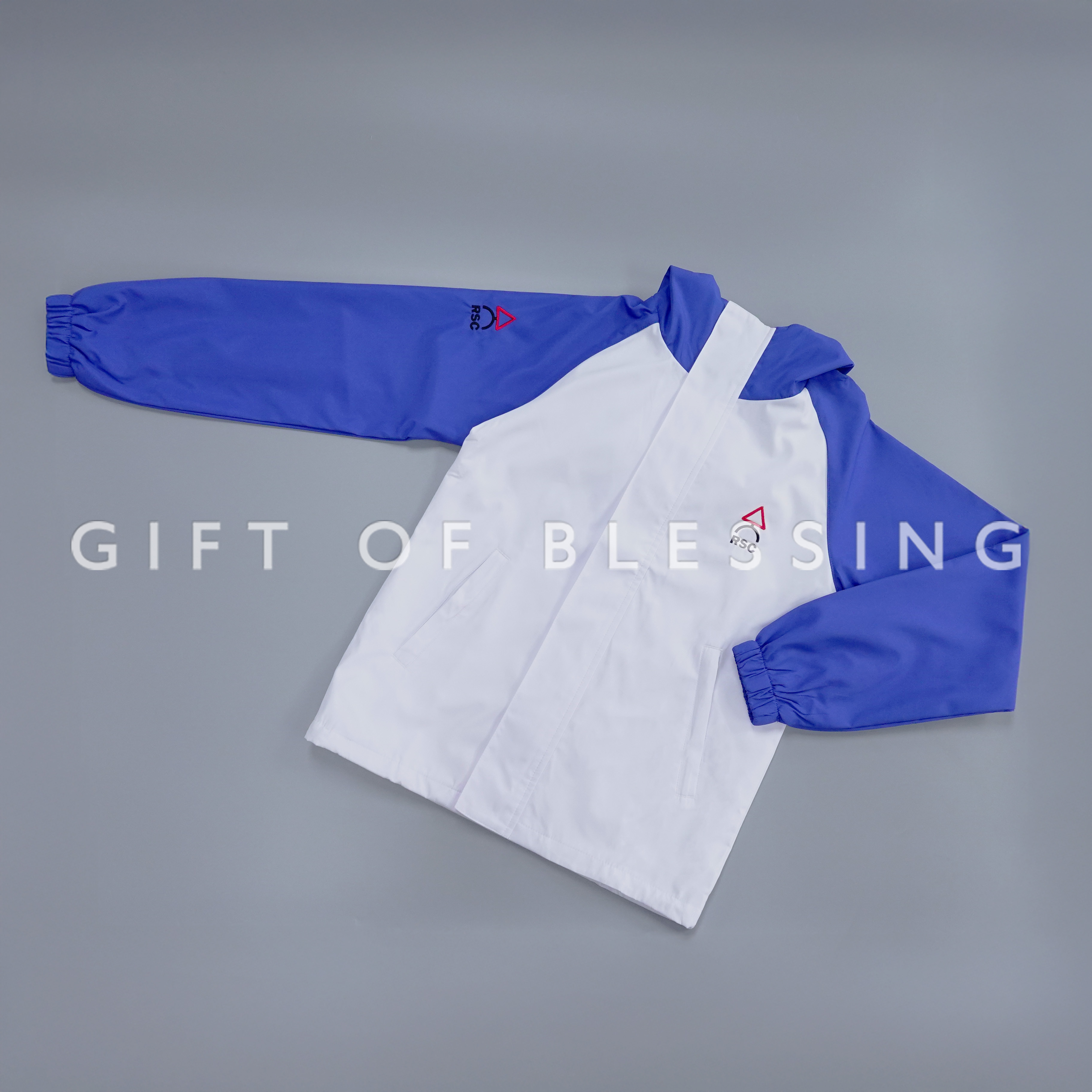 道路安全議會 RSC