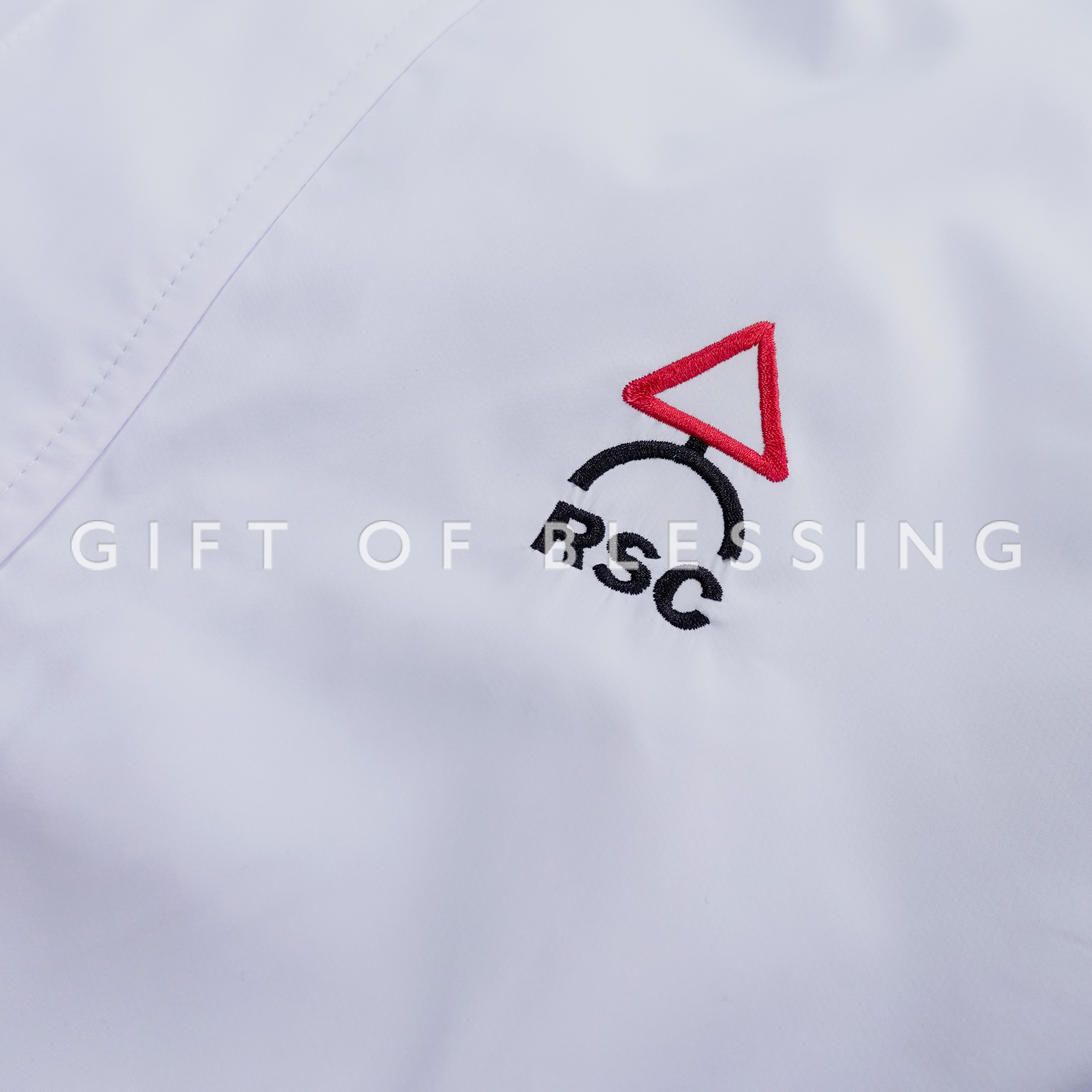 道路安全議會 RSC