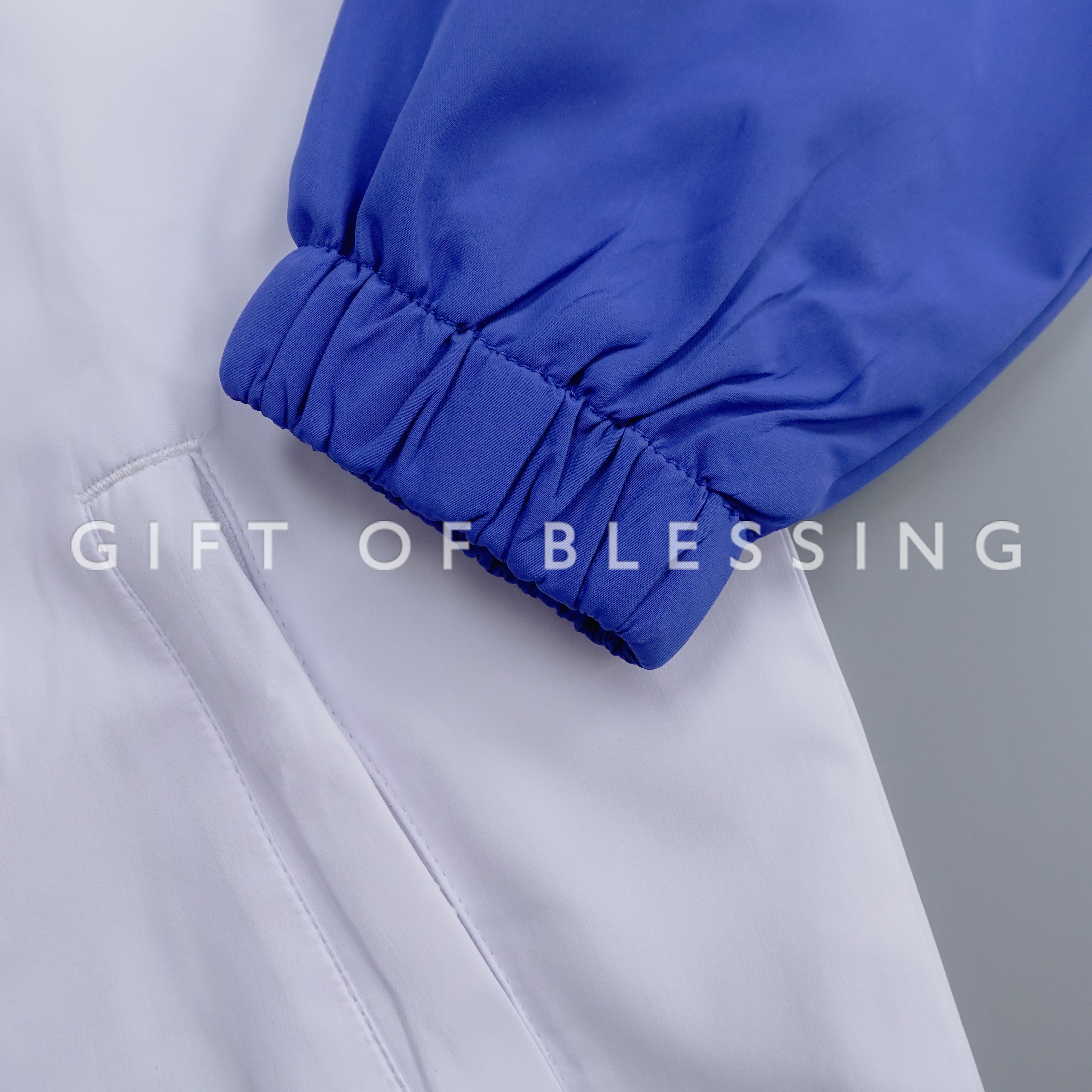 道路安全議會 RSC