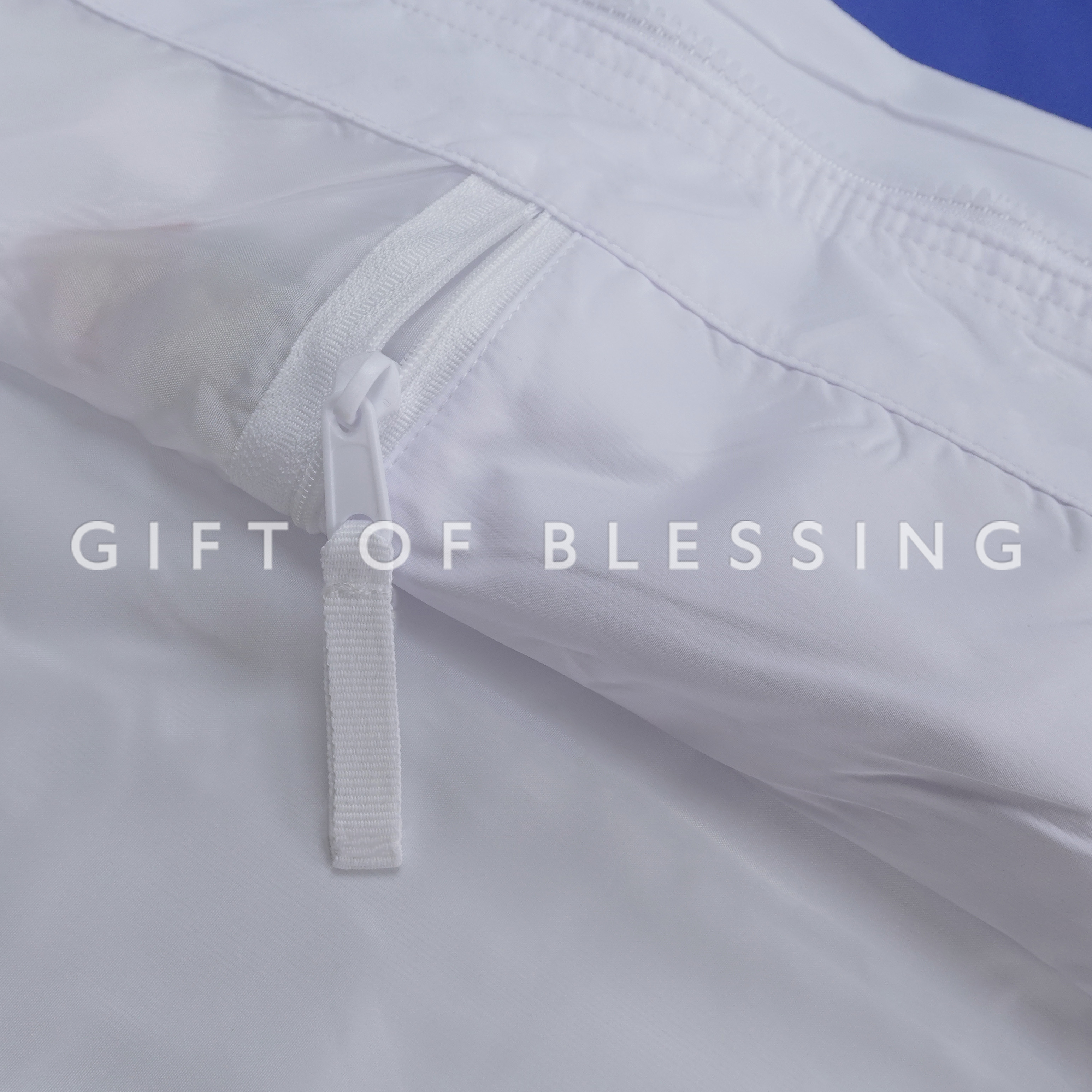 道路安全議會 RSC