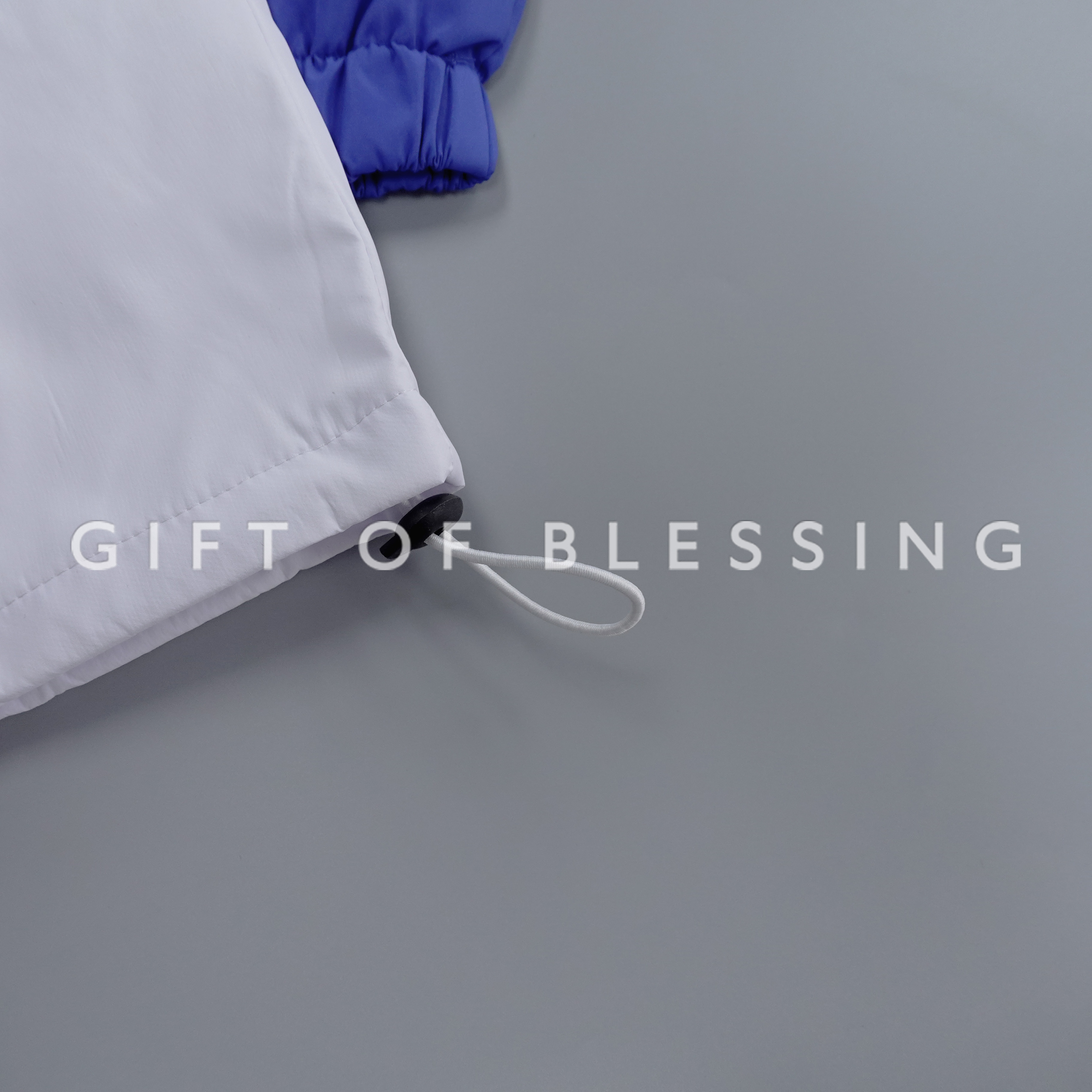 道路安全議會 RSC