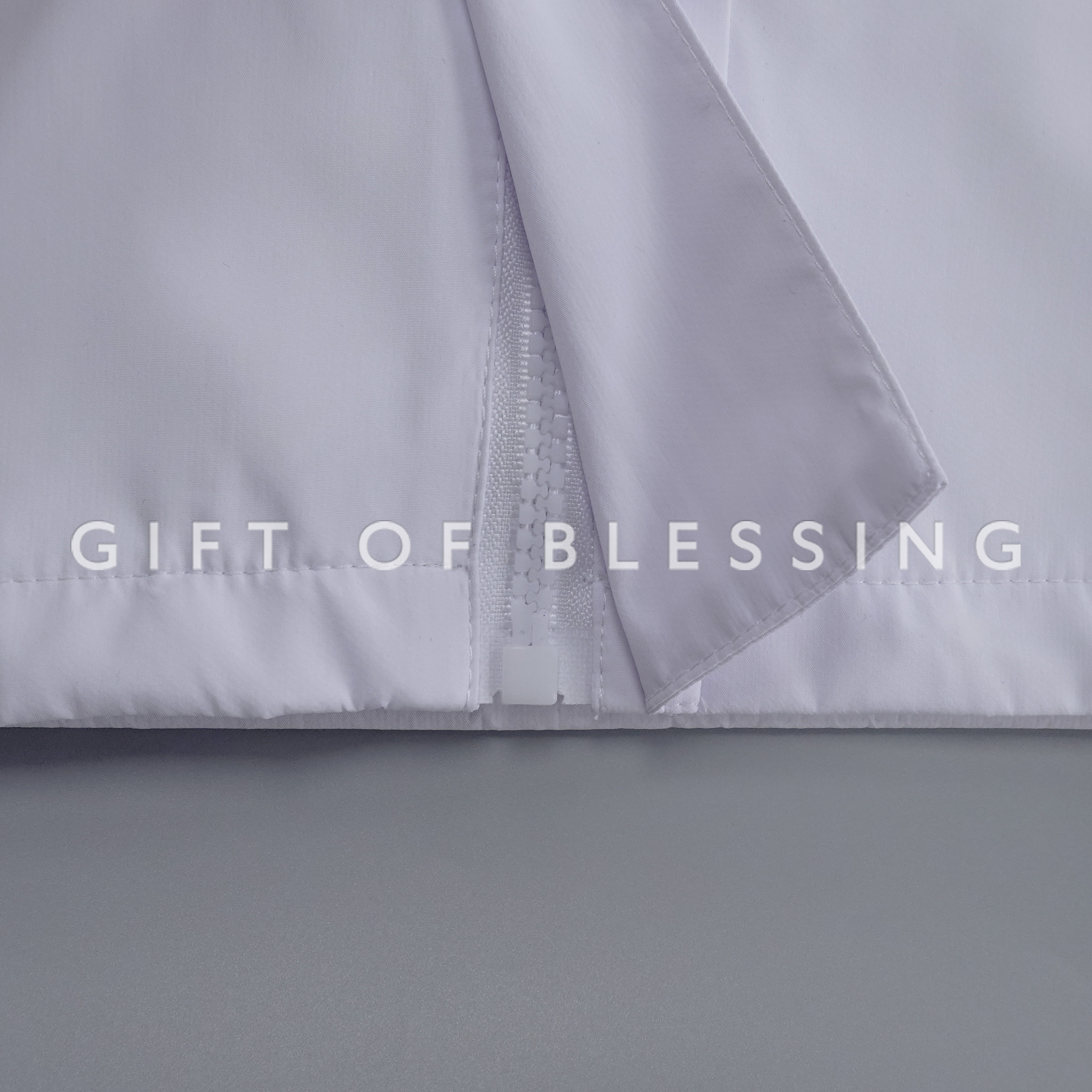 道路安全議會 RSC