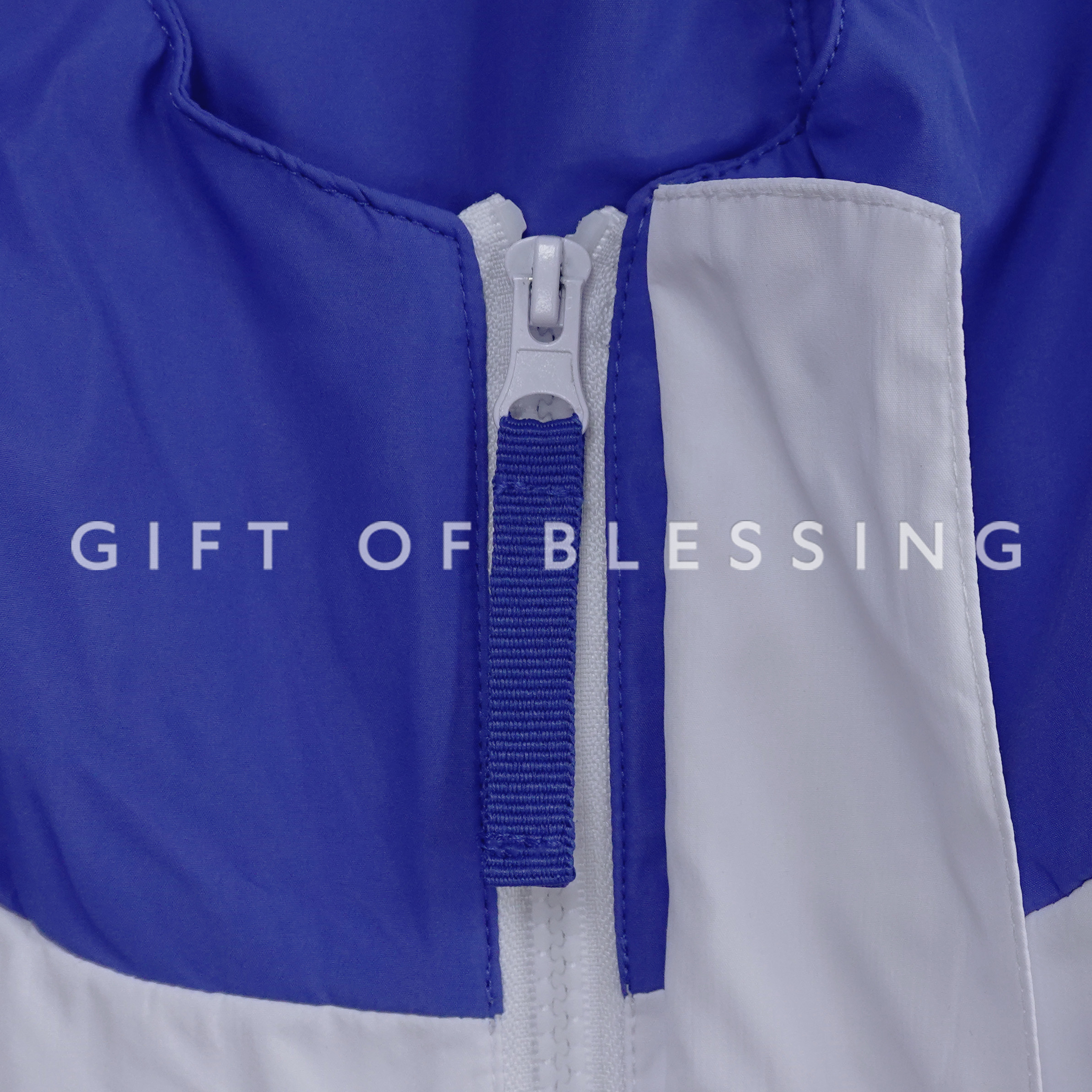 道路安全議會 RSC