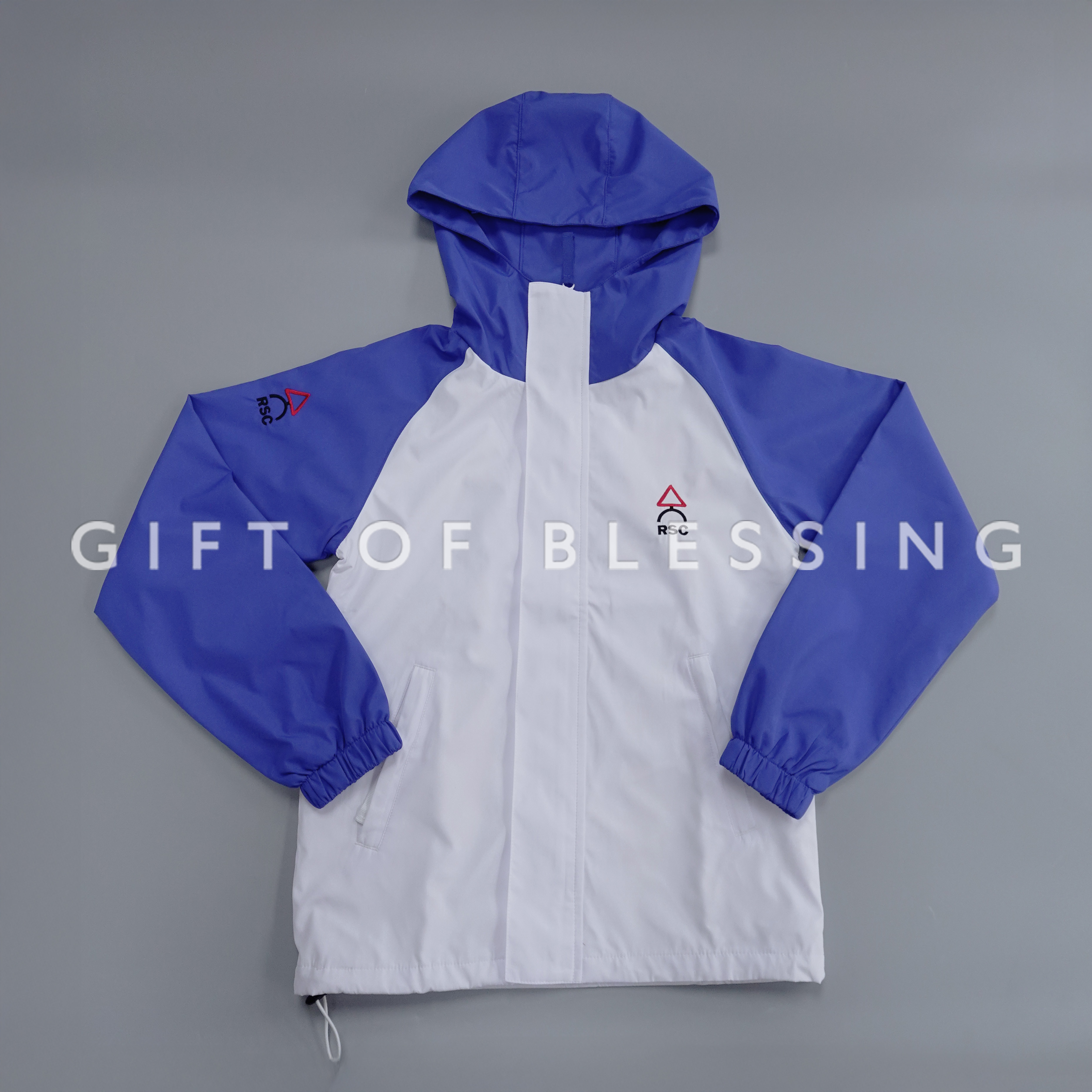 道路安全議會 RSC