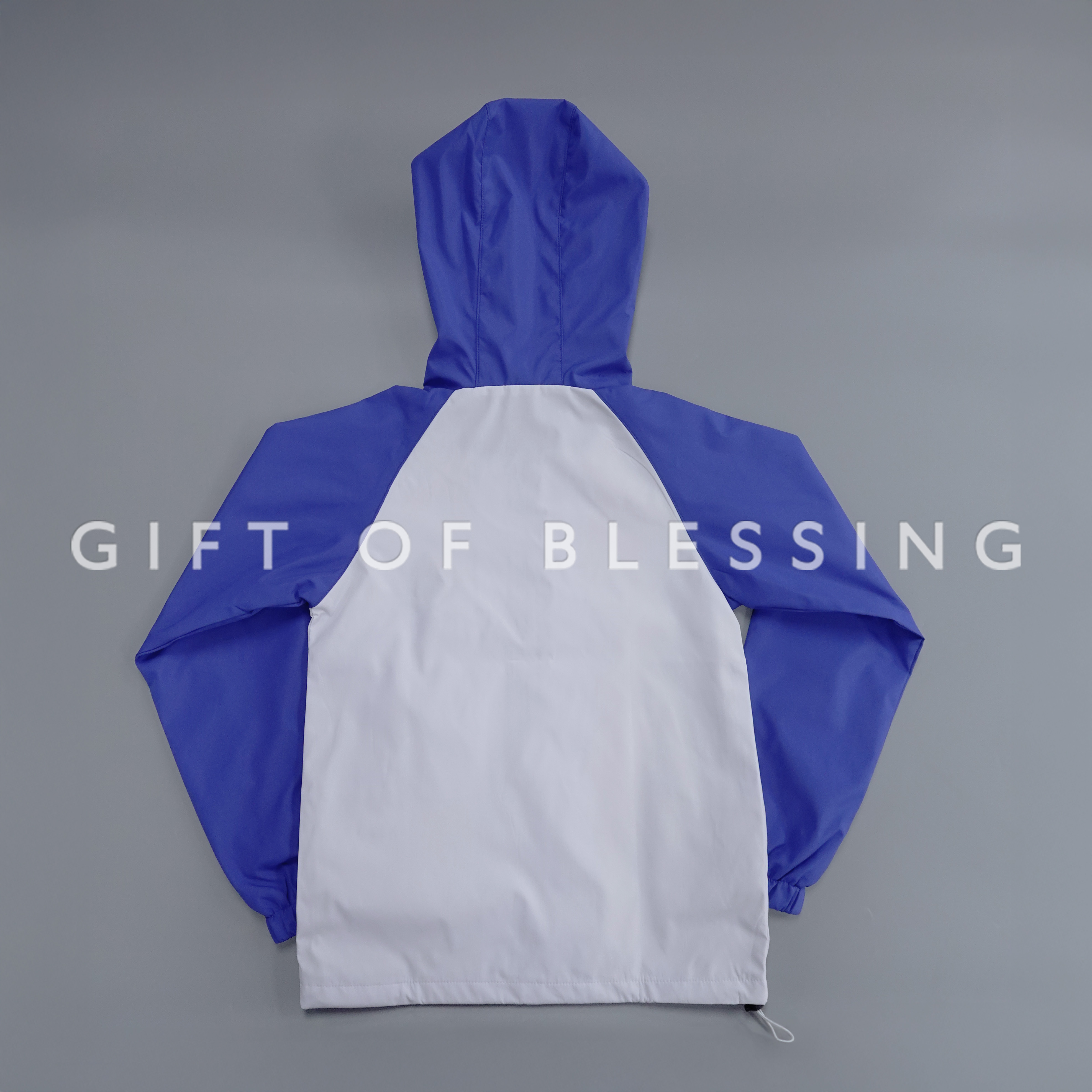 道路安全議會 RSC