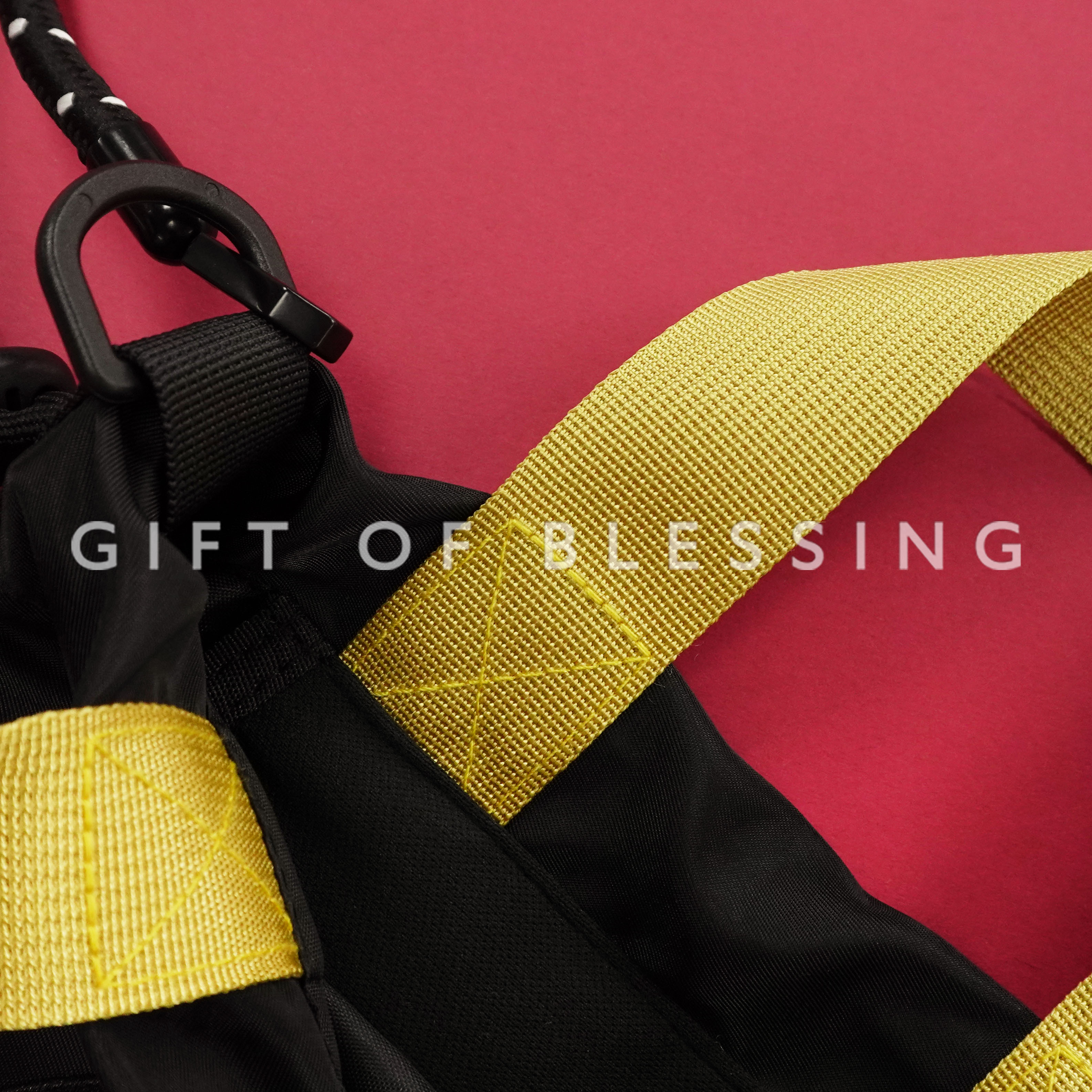 CATALOG 多拉A夢 叮噹