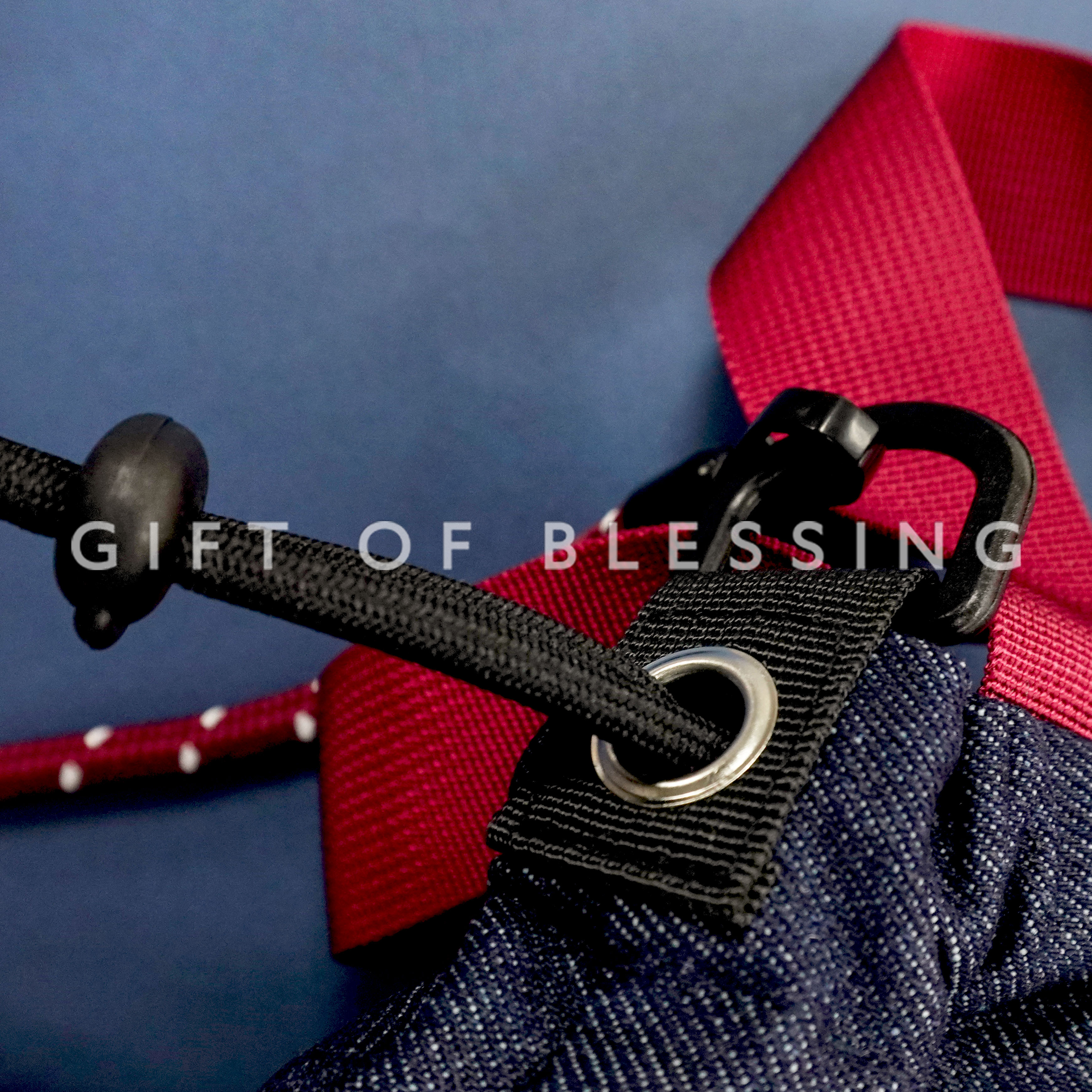 CATALOG 多拉A夢 叮噹