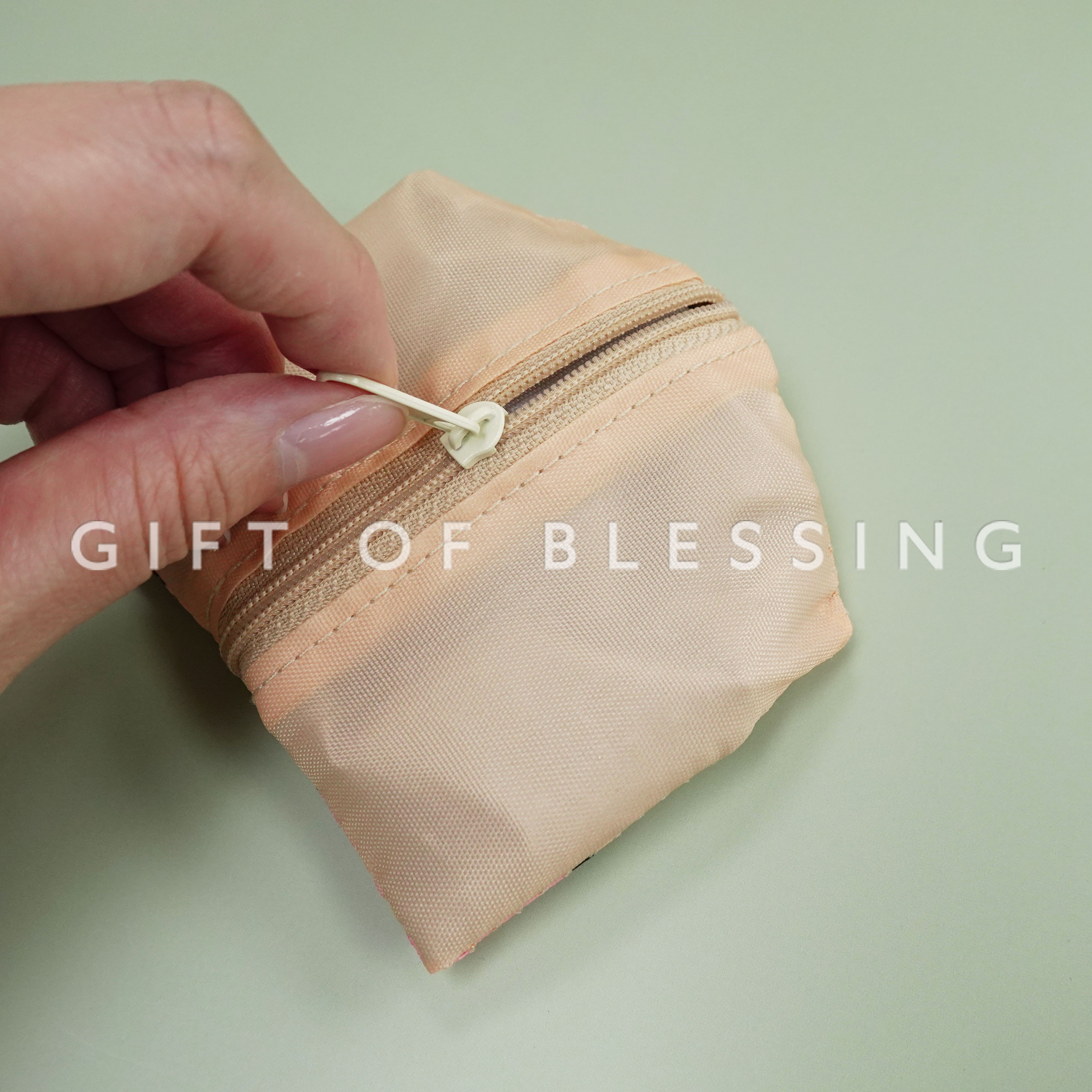 物業管理業監管局 物監局