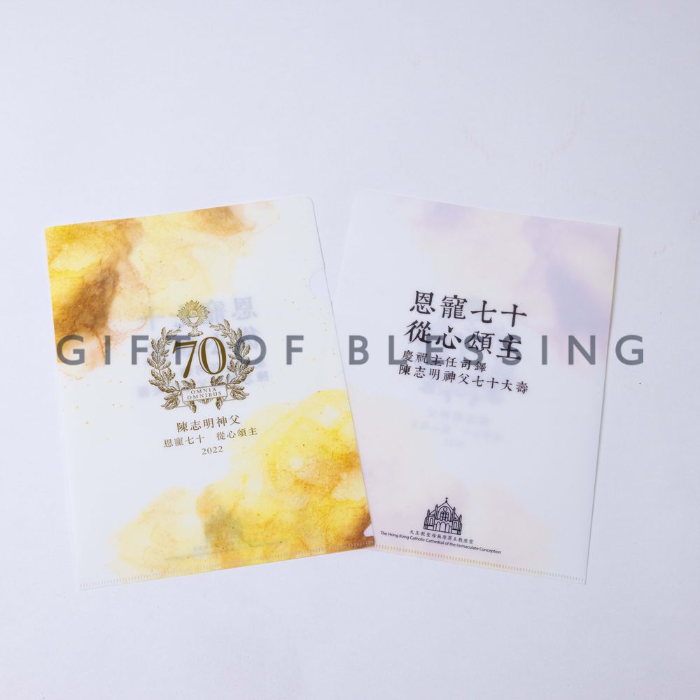 天主教聖母無原罪主教座堂