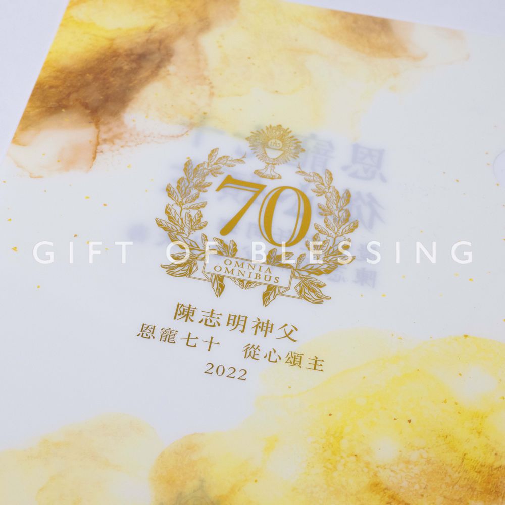 天主教聖母無原罪主教座堂