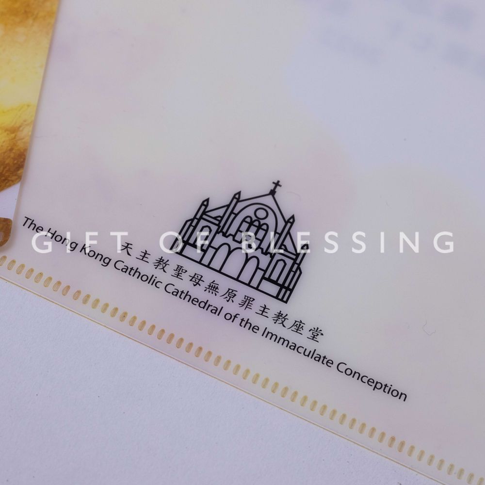 天主教聖母無原罪主教座堂