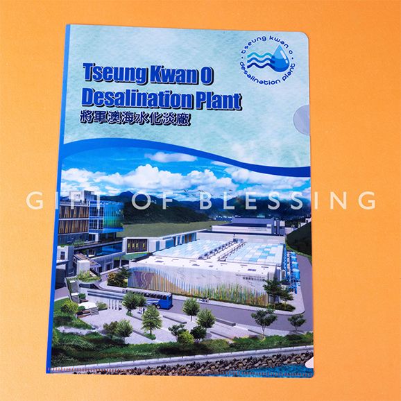 WSD001